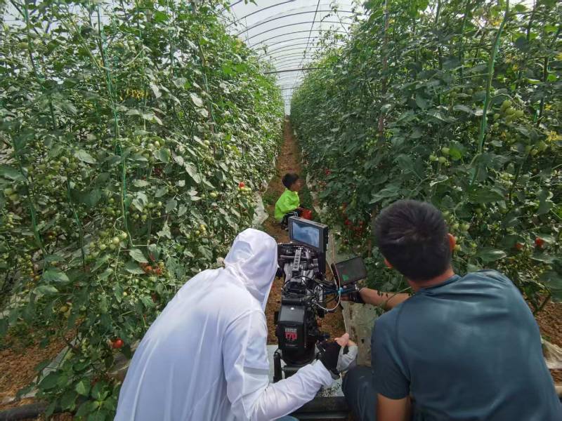 新密市产品宣传视频拍摄公司进阶指南，助力品牌抢占传播高地